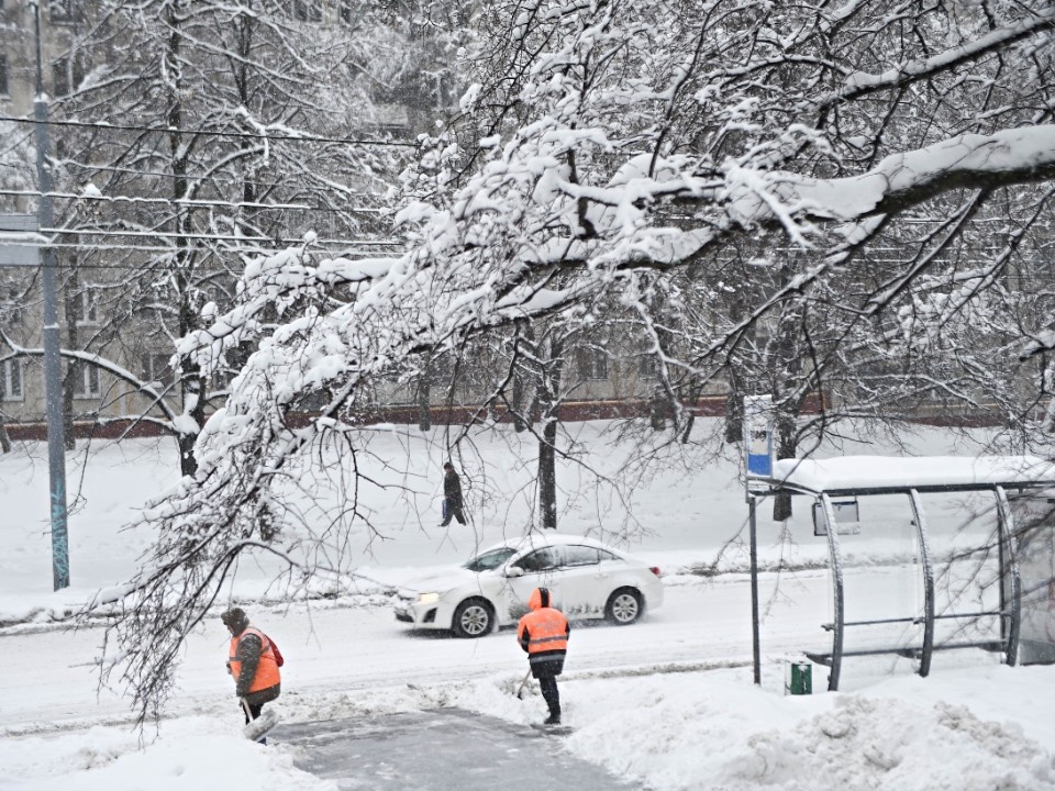    Фото: медиасток.рф