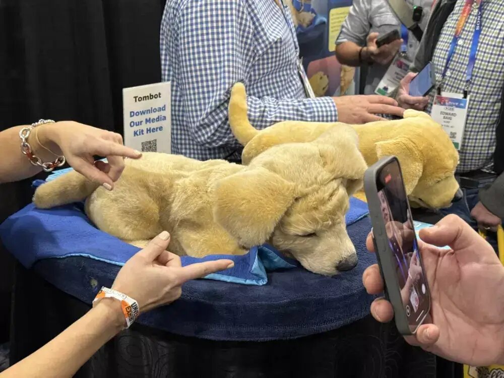 Роботизированный золотистый ретривер по кличке Tombot с системой искусственного интеллекта. Фото: Социальные сети.