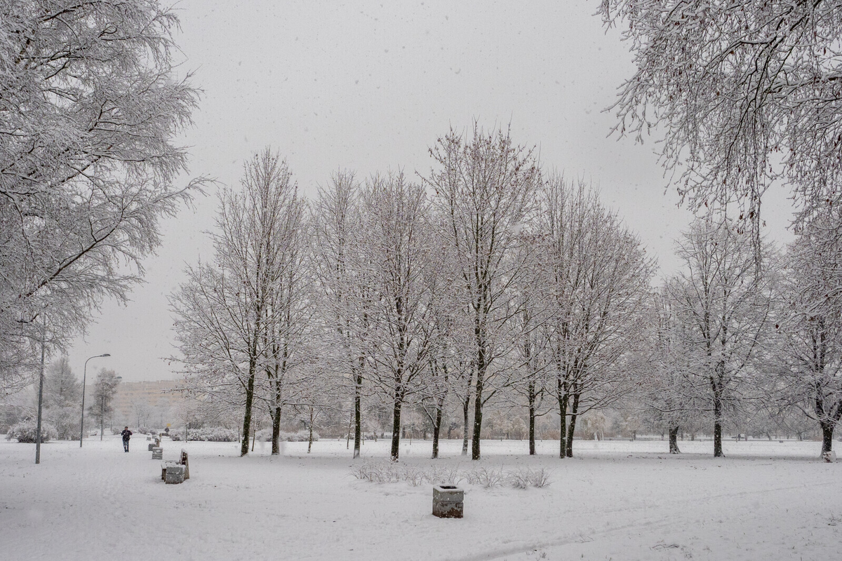 Олег Золото/«Вечерний Санкт-Петербург»