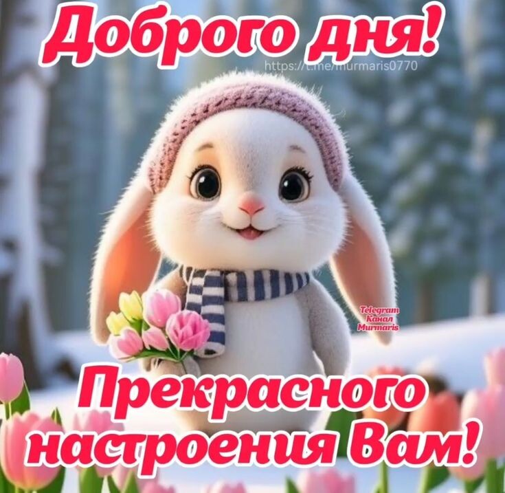 Фото из открытого источника в интернете.