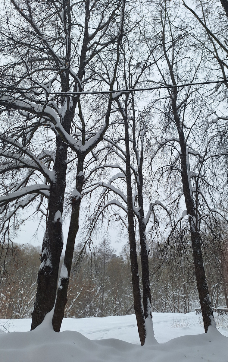 Фото - собственность автора канала "ТАК НАДО".