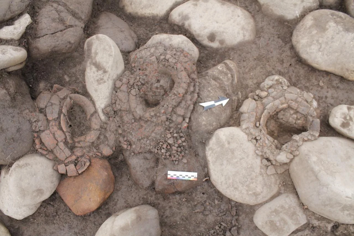    Фото: Правительство Адыгеи, источник: adygheya.ru