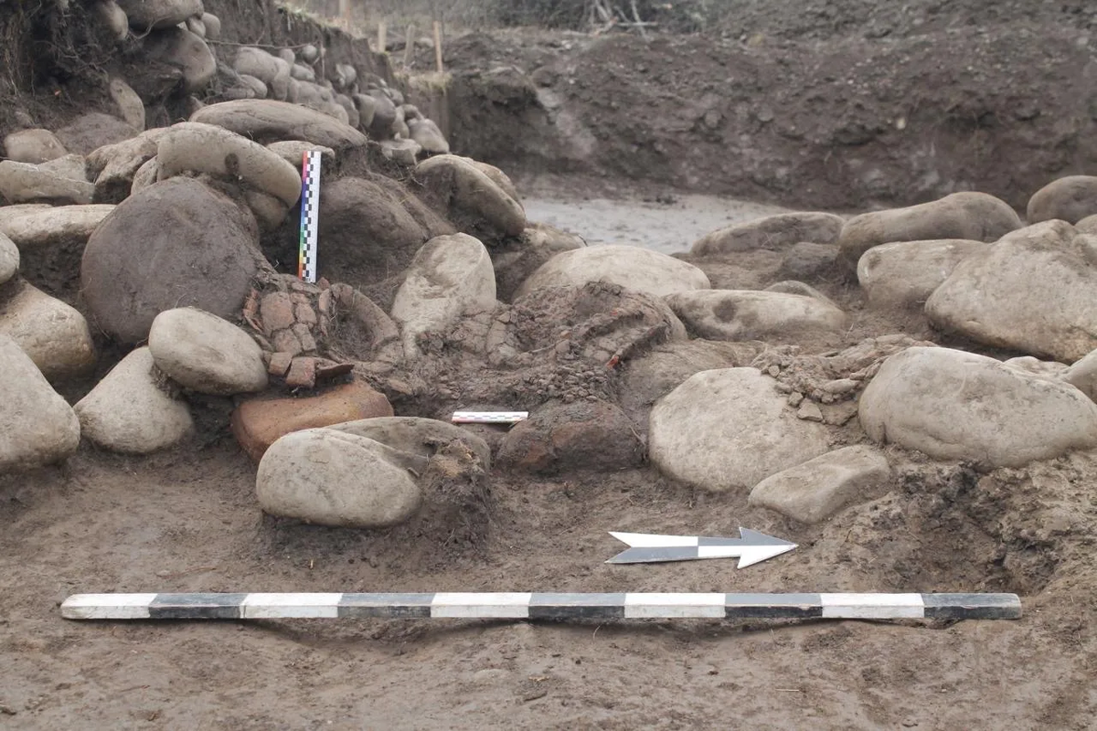    Фото: Правительство Адыгеи, источник: adygheya.ru