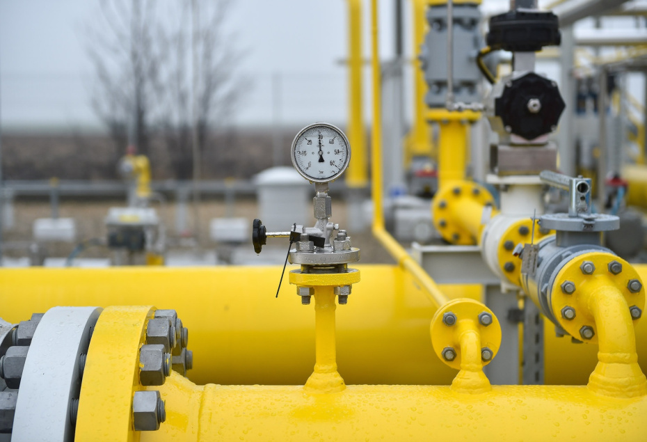    Shutterstock/FOTODOM