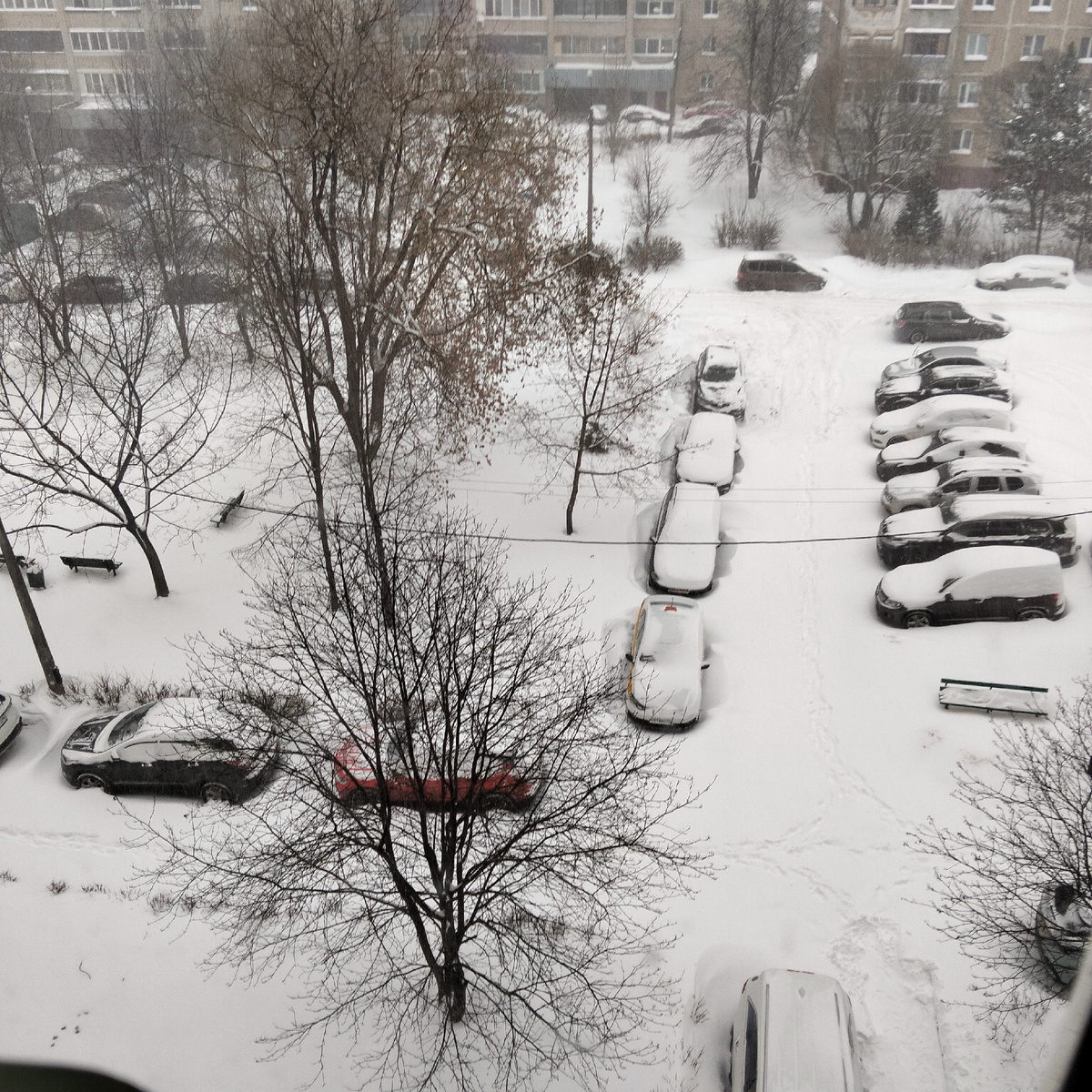 Январь 2026. Снег сыплет и сыплет!