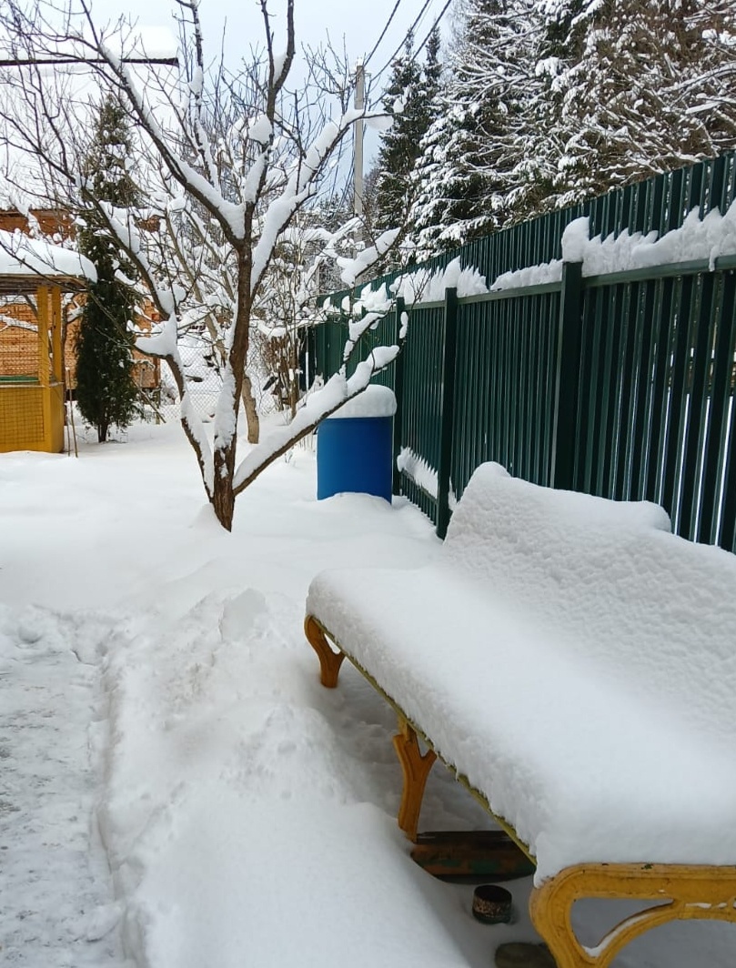 Уже столько снежку насыпало!