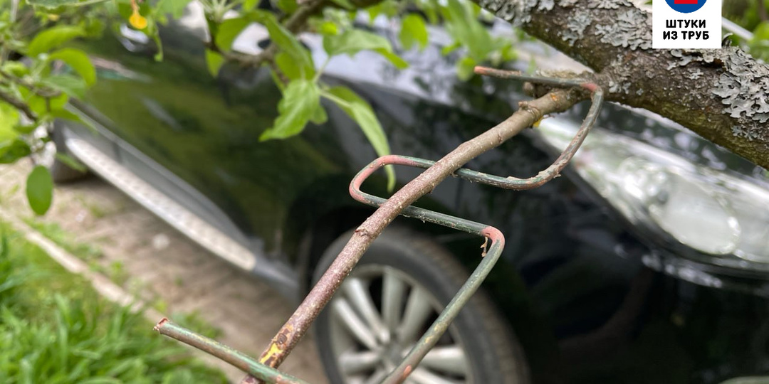 Под 40 градусами, или тупой и еще тупее. Формировка дерева – советы главного агронома