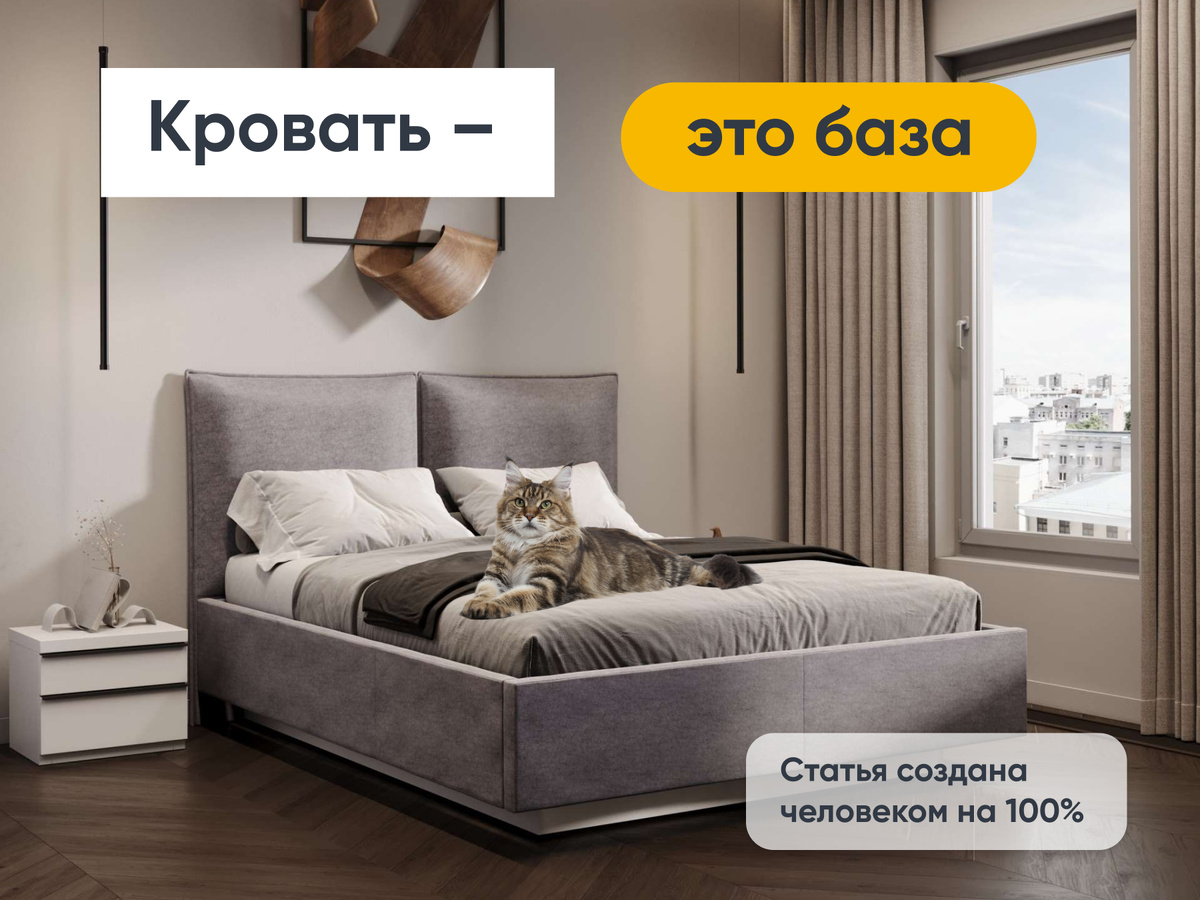 И кот - тоже база