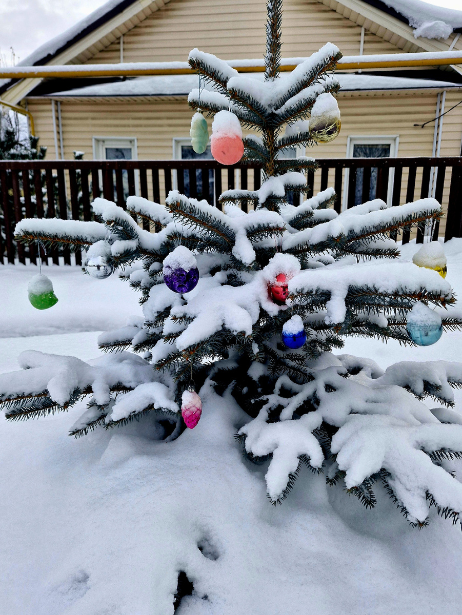 Такая новогодняя елочка у родителей