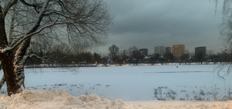 Некогда домашний водоем