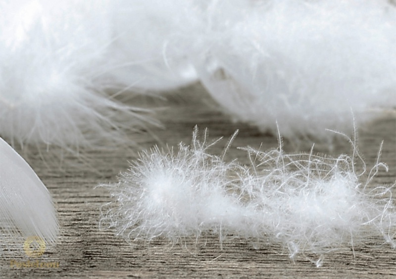 Гусиный пух | Posteleon.ru