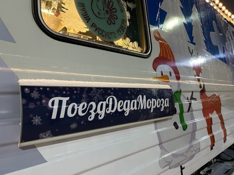     Фото: МК в Вологде.