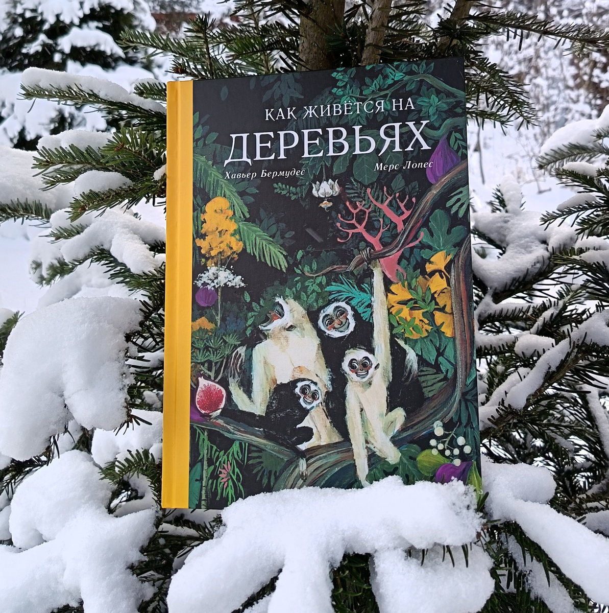 Хавьер Бермудес, Мерс Лопес «Как живется на деревьях»