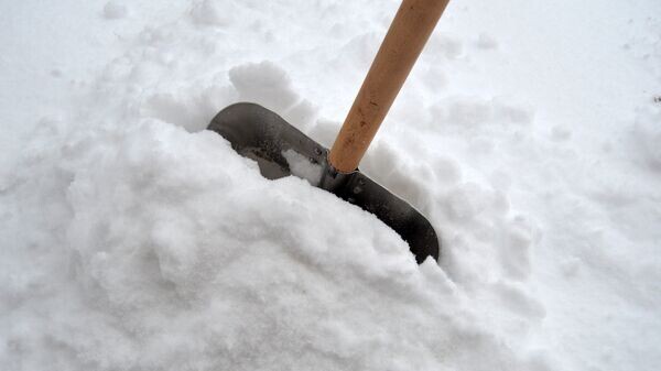    © Sputnik / Дмитрий Гаткевич