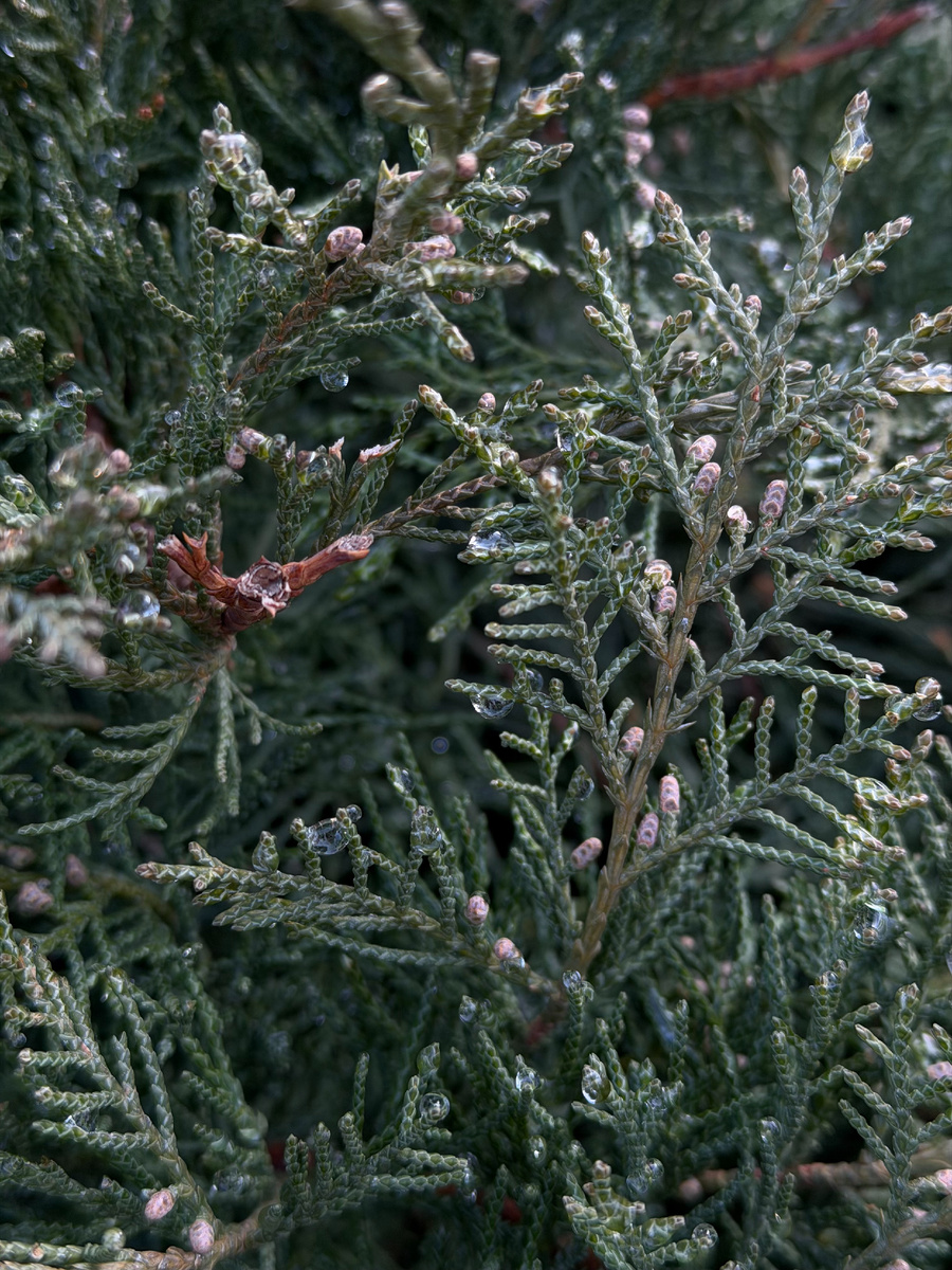 Помоему шикарно фоткает. Разве нет?