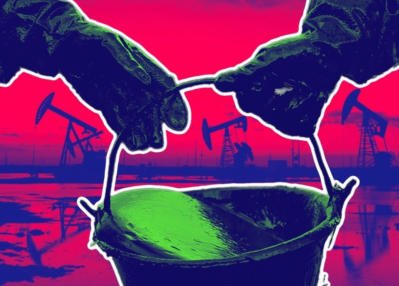    Иллюстрация: REX