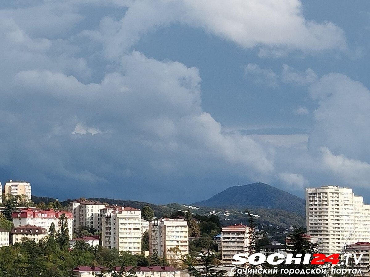    Фото: Сочи24 (Лидия Виленская)