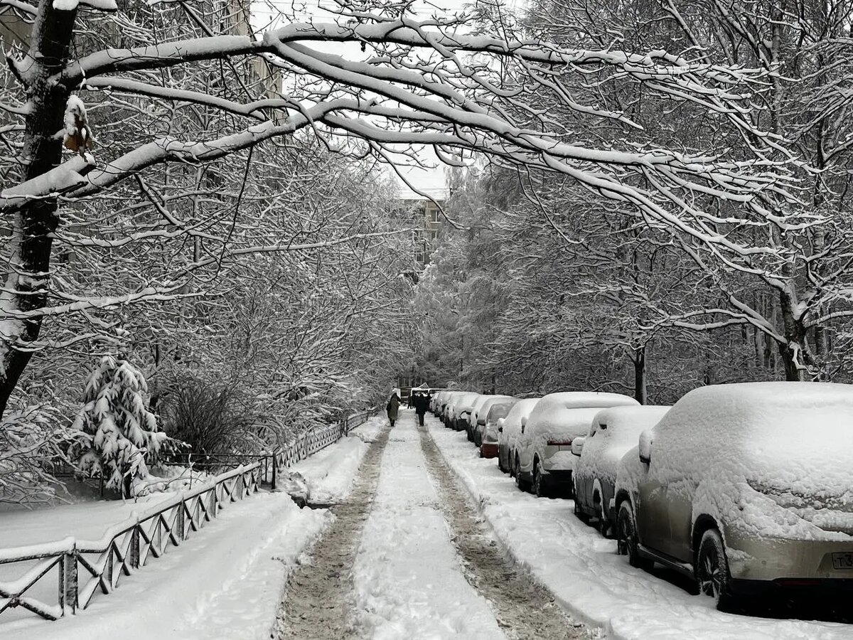    Архивное фото: Мойка78