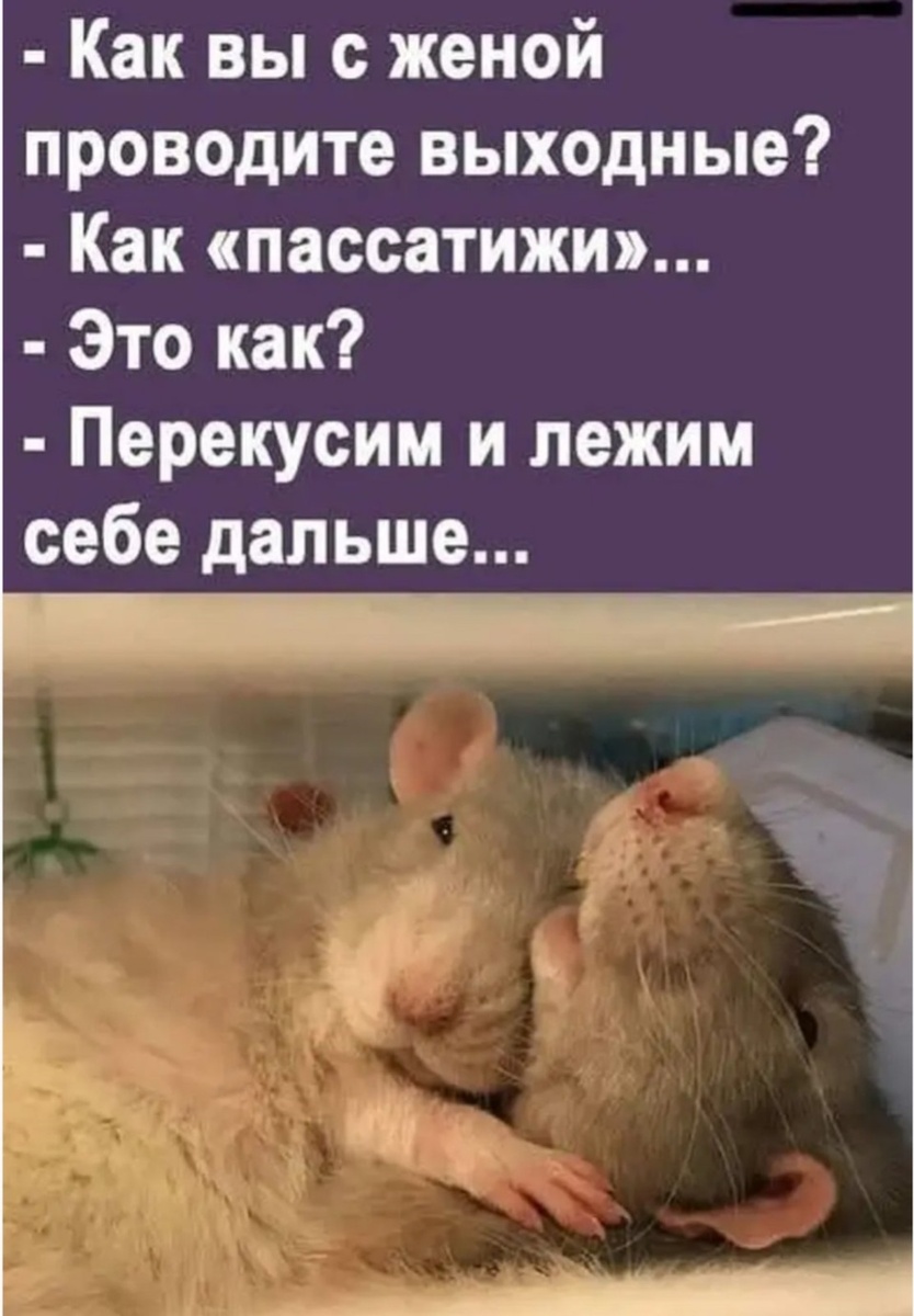 Смех из социальных сетей! Забавные шутки, забавные случаи и веселые рассказы. Фото взято из общедоступных ресурсов соцсетей.