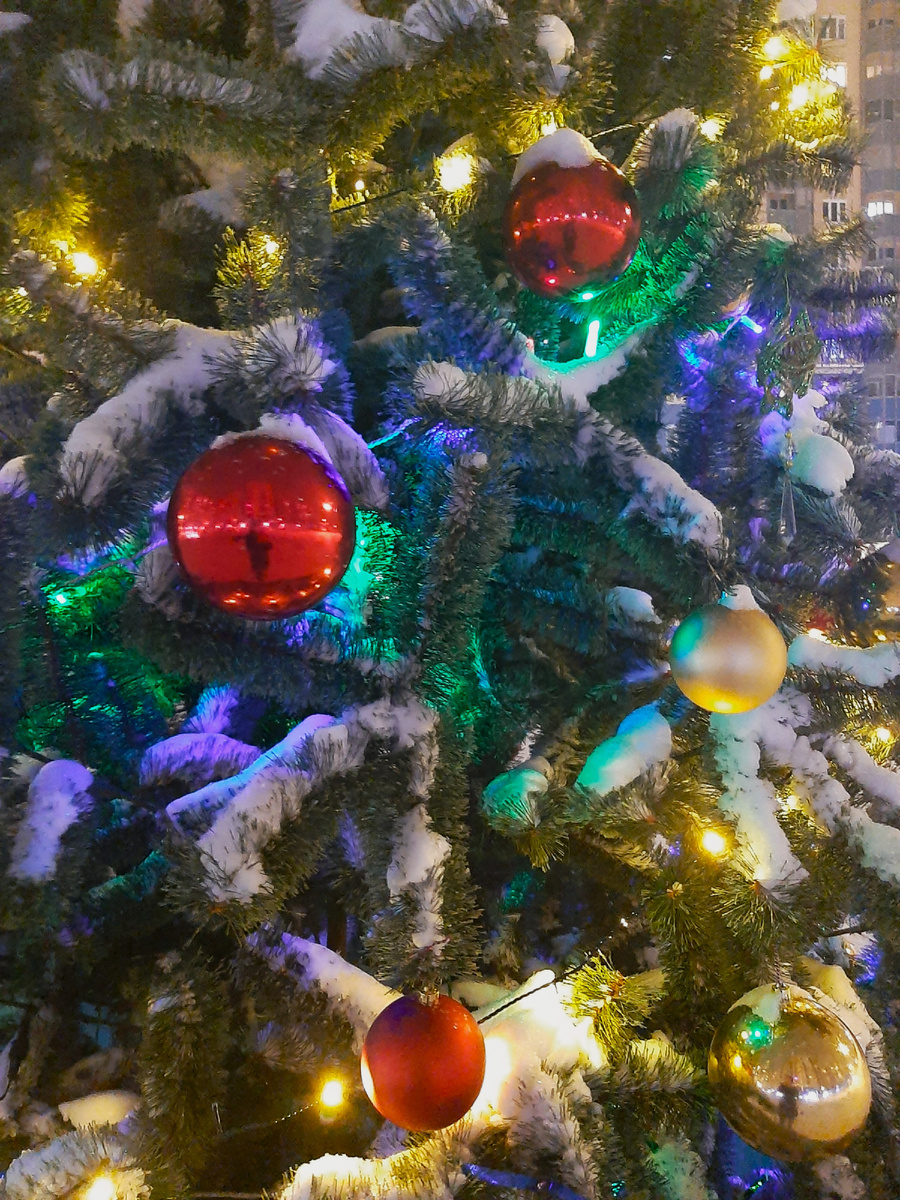 Фото автора