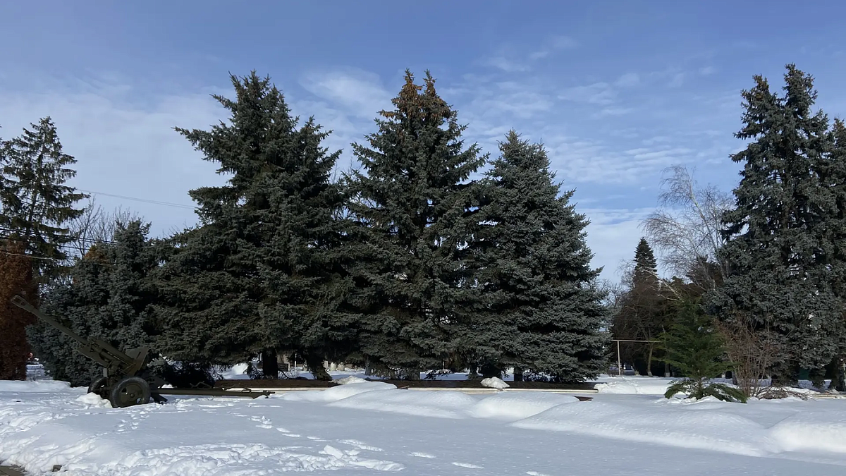    Фото: телеканал «Краснодар»