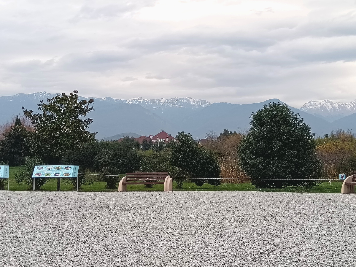 Услада глаз моих. Фото автора.