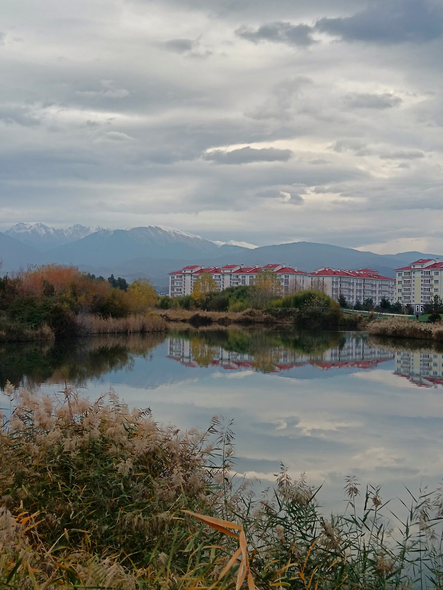 А вот какая красота! Фото автора.