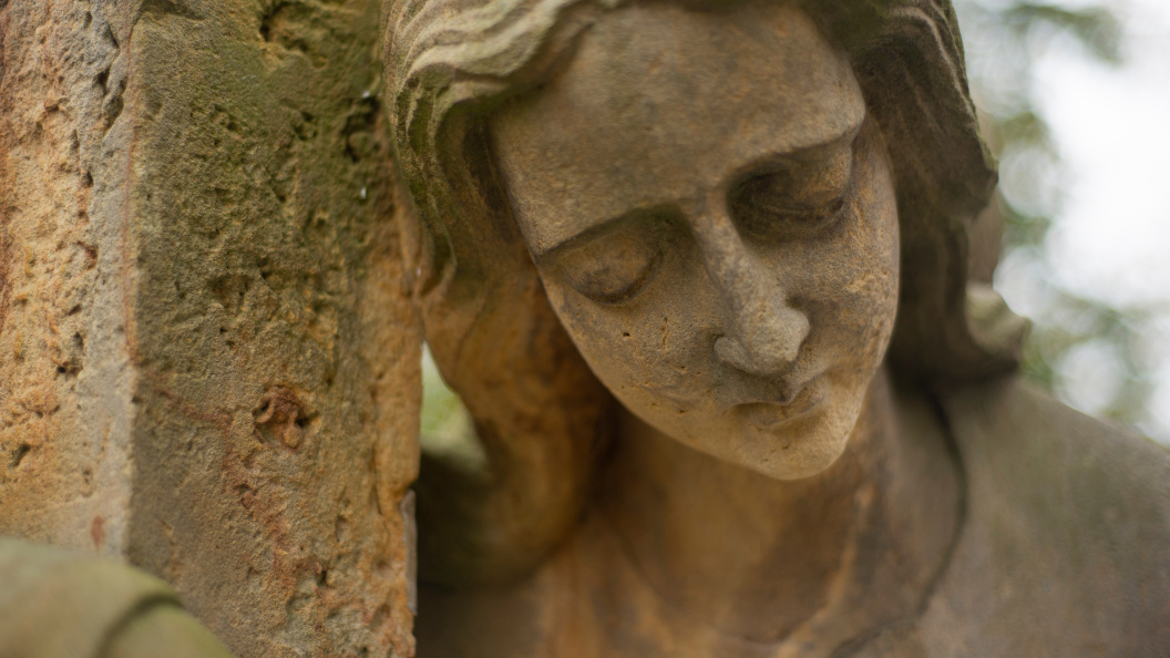    фото:Shutterstock