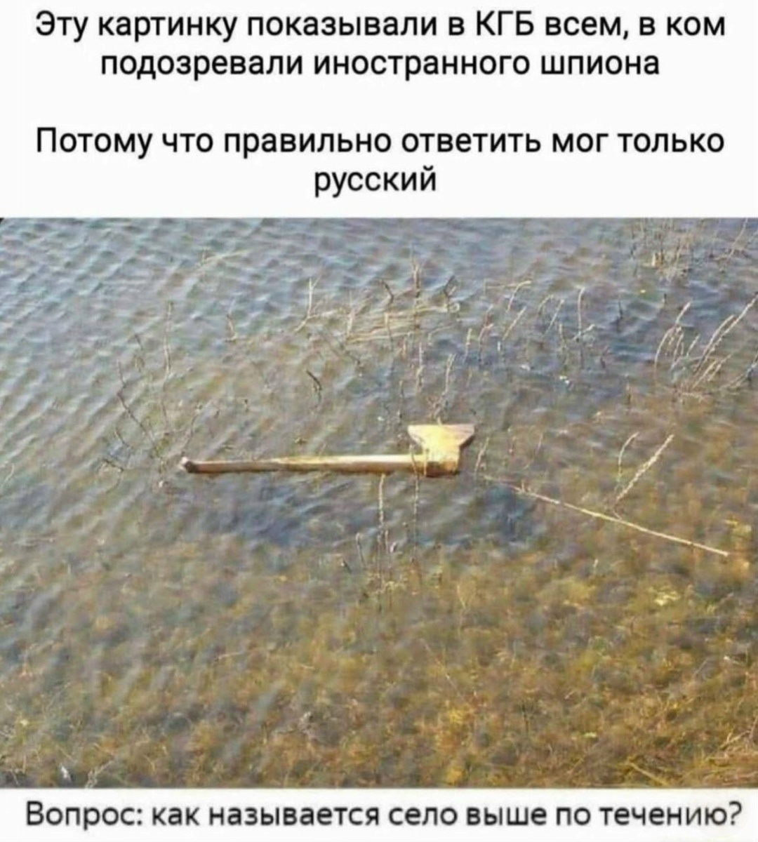 Смех из социальных сетей! Забавные шутки, забавные случаи и веселые рассказы. Фото взято из общедоступных ресурсов соцсетей.