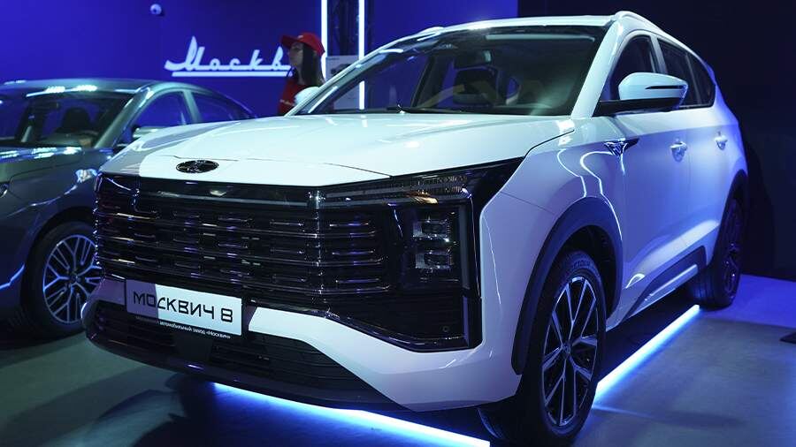 Вот он Мой красавец!