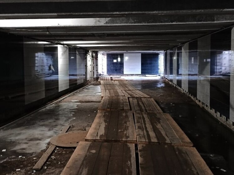     Фото: МК в Пензе