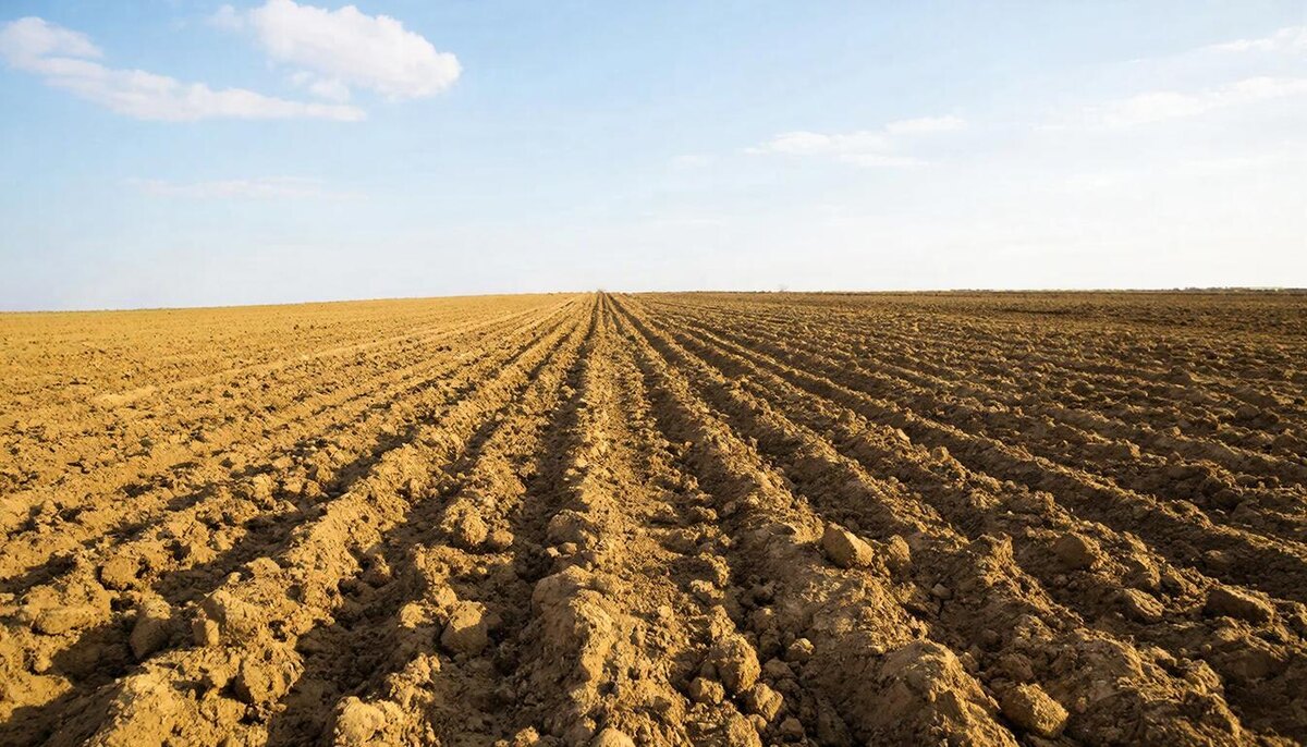 Такой видит поднятую целину ГигаЧат. Что ж, наши взгляды во многом совпадают. На этот раз