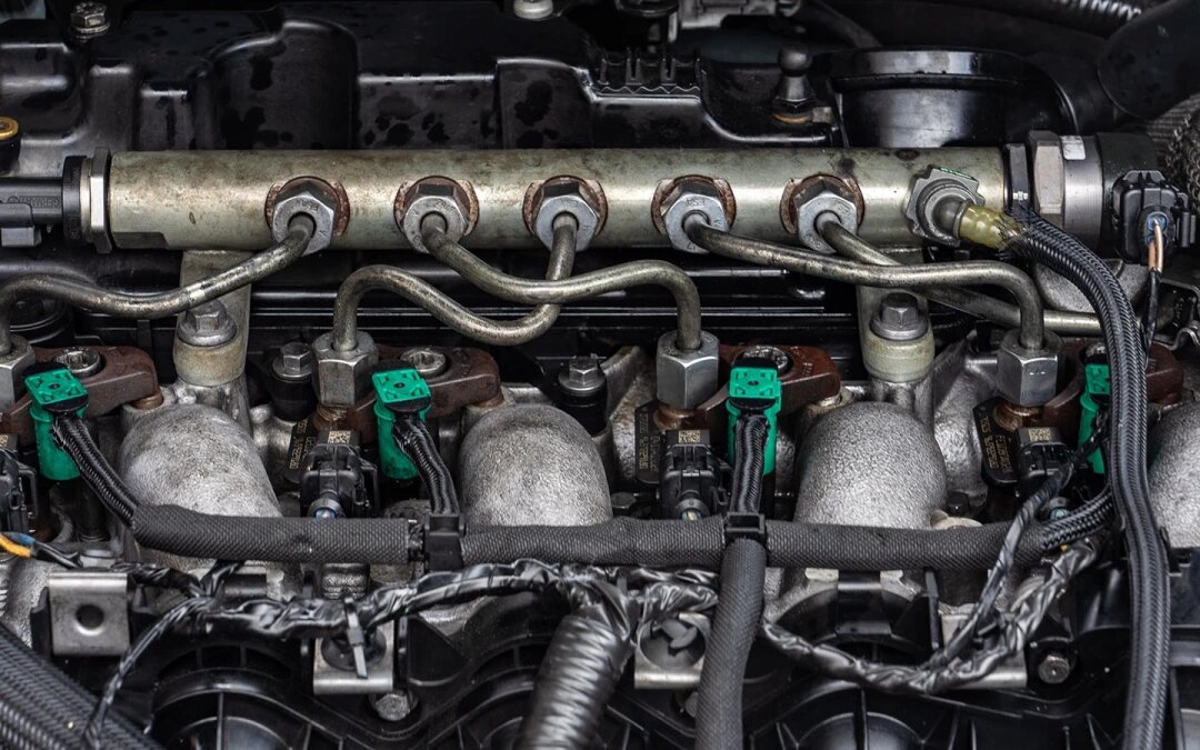 Фото: klenger / Shutterstock / FOTODOM