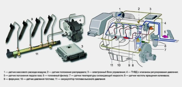 Устройство системы Common Rail (Фото: vit5471 / Drive2)
