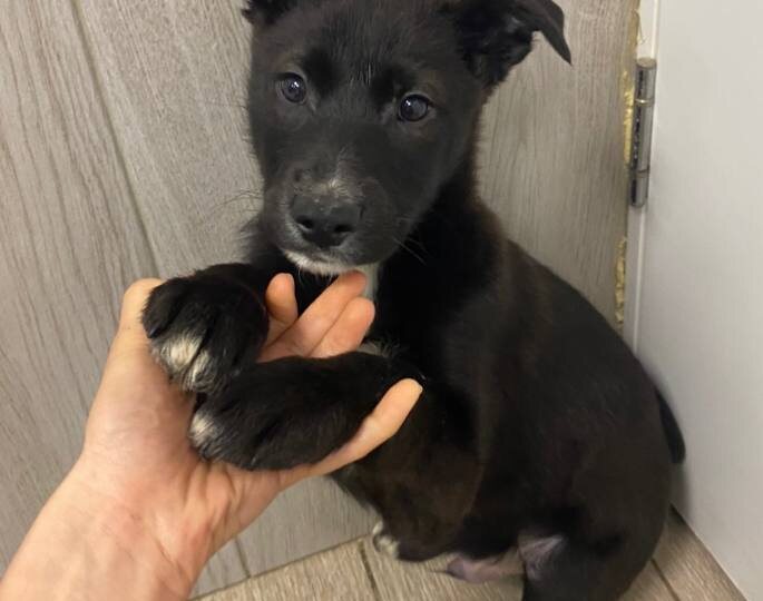 Зайчик с хвостиком колечком не хочет в снег