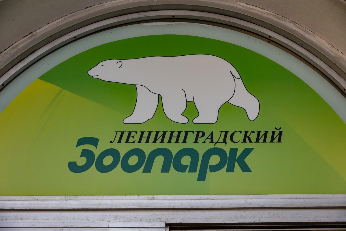    Фото: Дмитрий Фуфаев/«Петербургский дневник»