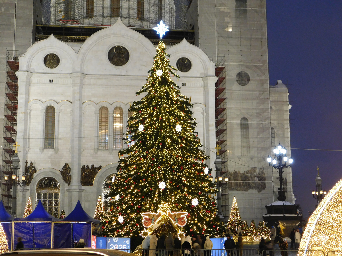 Ёлка у Храма Христа-Спасителя в Москве. Фото автора.