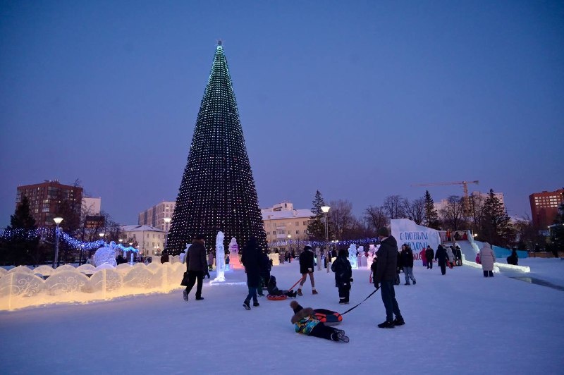 Фото: Полина Зиновьева, «Областная газета»