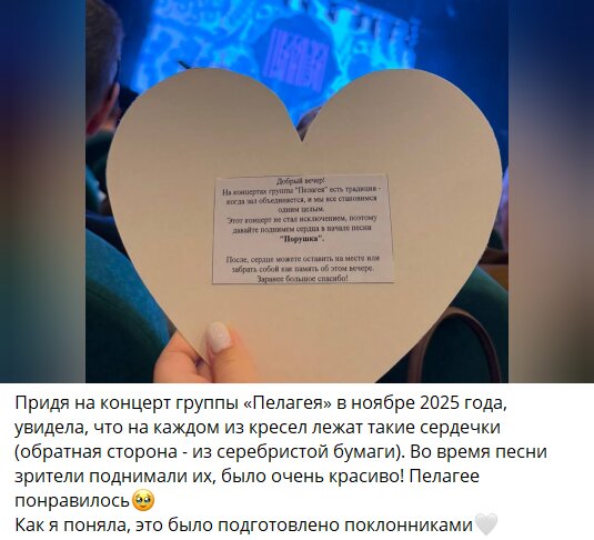    Фото: социальные сети