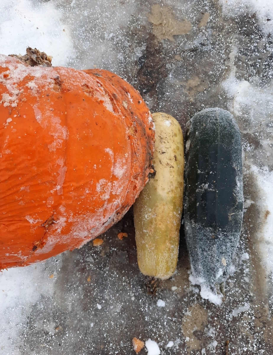 Одна и два. Фото автора 