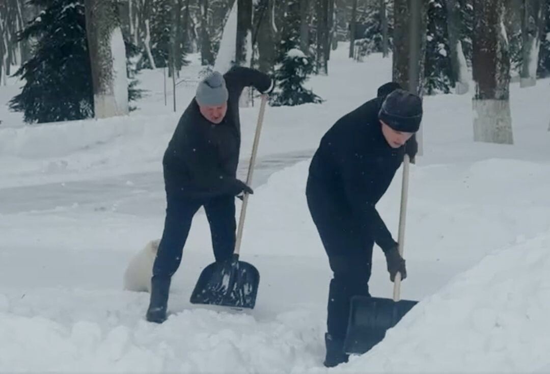     / Источник: Кадр из видео