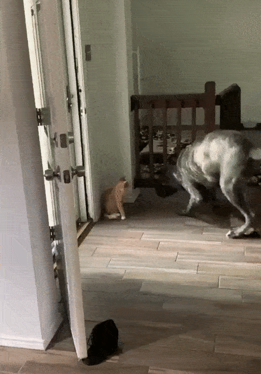 © My_Memes_Will_Cure_U 