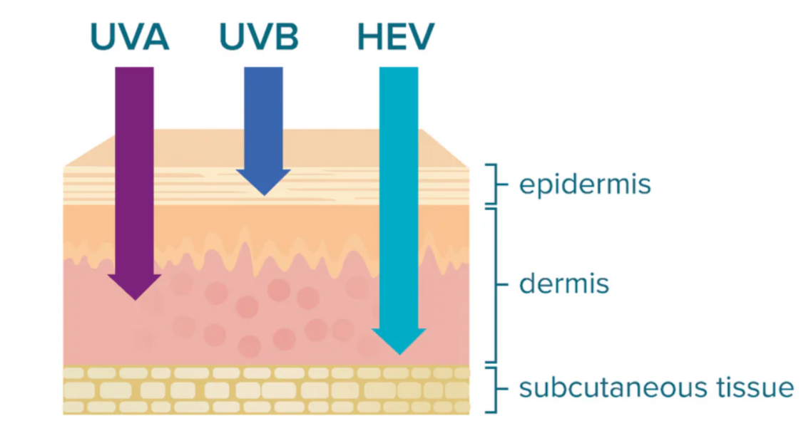 Вредные лучи и их влияние на кожу
