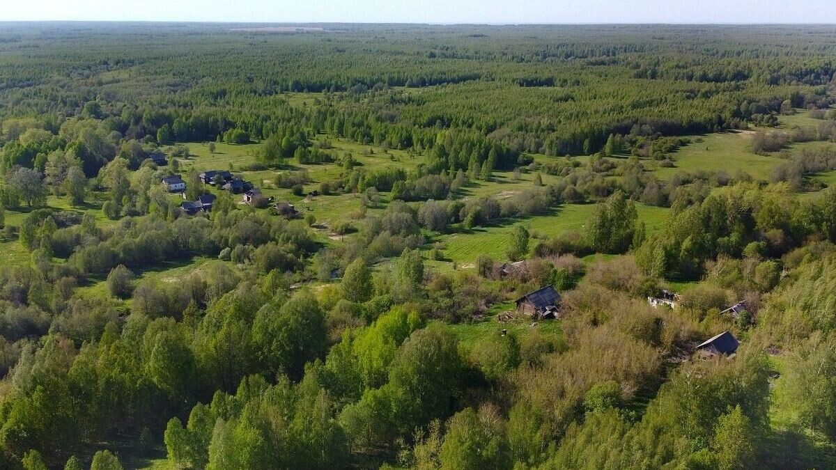    Заброшенная деревня Тишкино в Нижегородской области   YouTube-канал «Заброшенный мир»