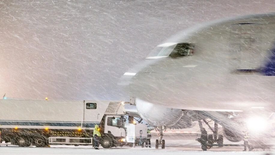    Фото: Vereshchagin Dmitry/Shutterstock/Fotodom