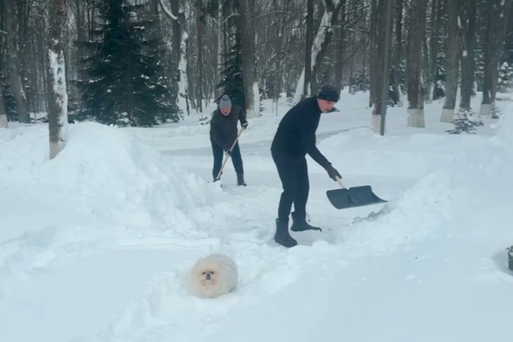    Фото © Telegram / «Пул первого»