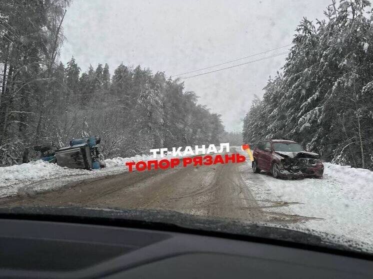     Фото телеграм-канал «Топор. Новости Рязани»