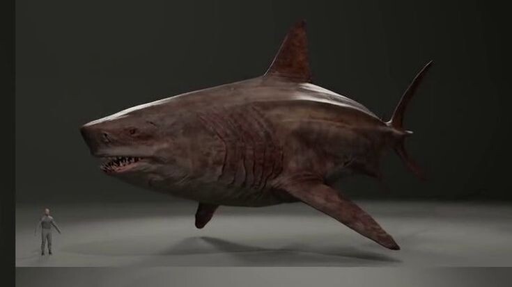 мегаладон и человек