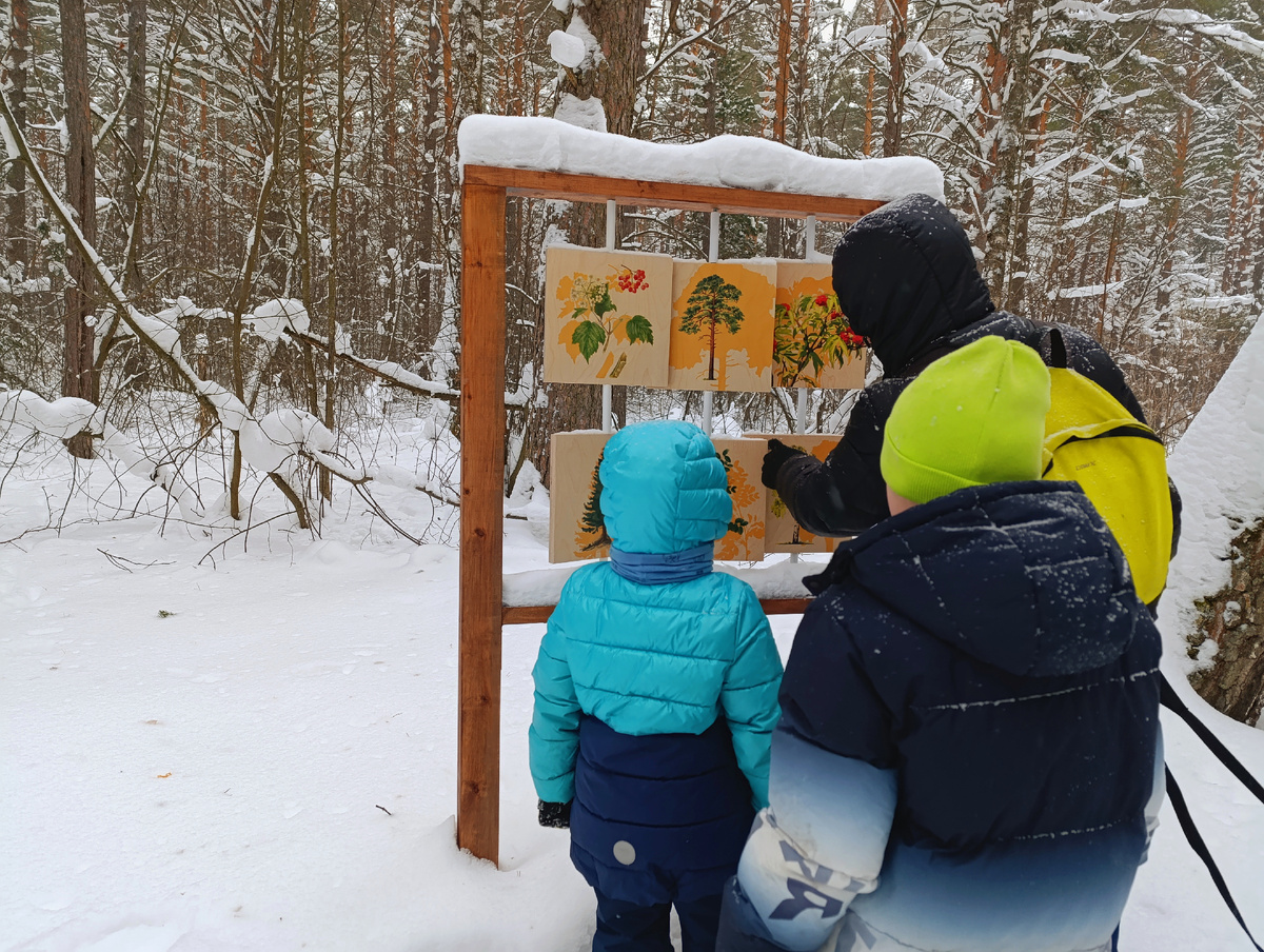 Вадюха, Паша, их отец. Картинки рассматривают