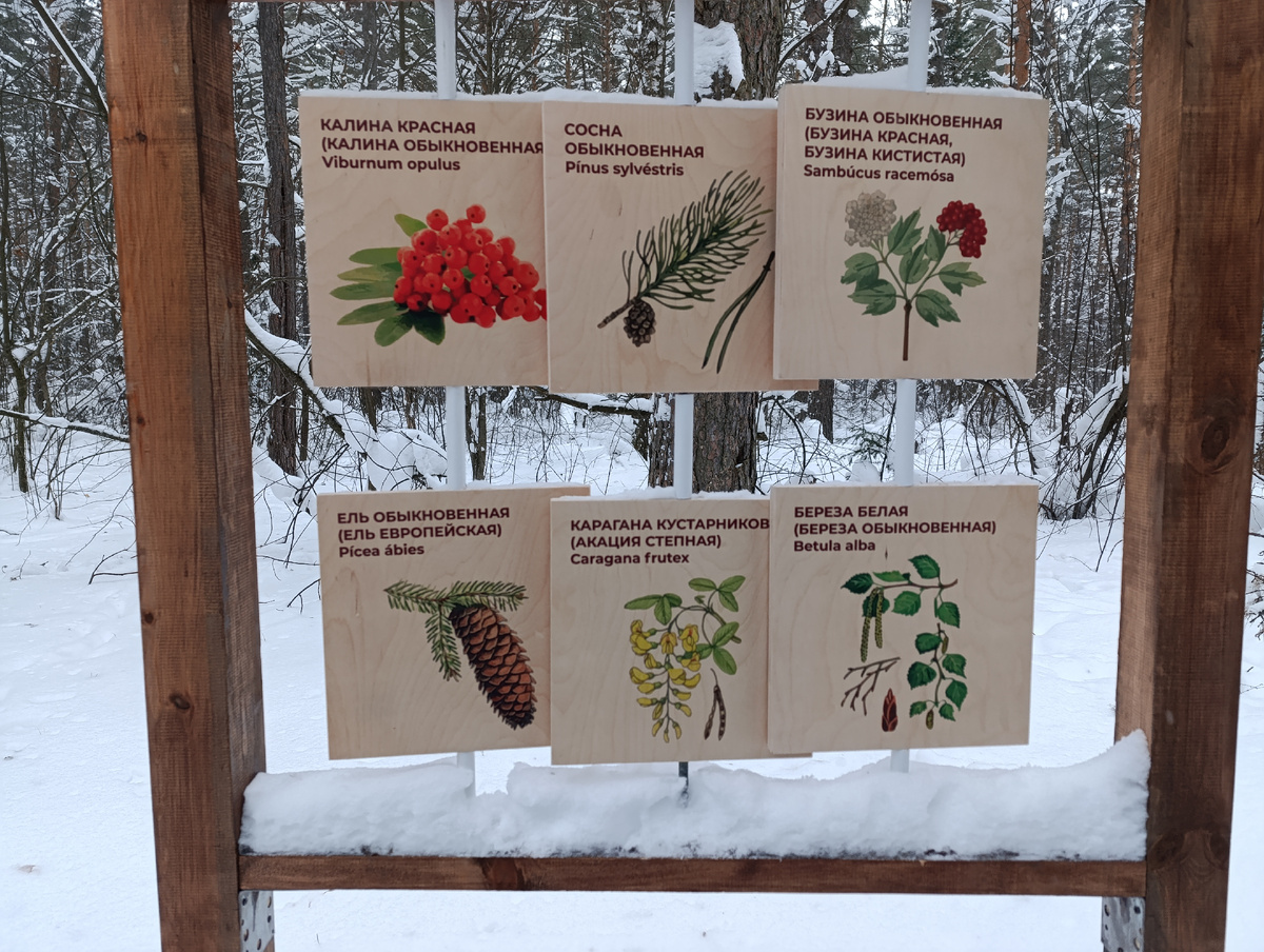 Паша сказал сфотографировать, вдруг потом ему на окружающем мире пригодится эта фотография